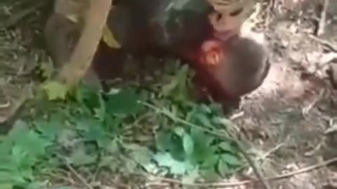 Ghay Ukrainian Soldier Vs Chad Russians