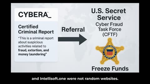 Part 17. CYBERA Report & U.S. Secret Service Referral – The Hidden Crypto Fraud Trail