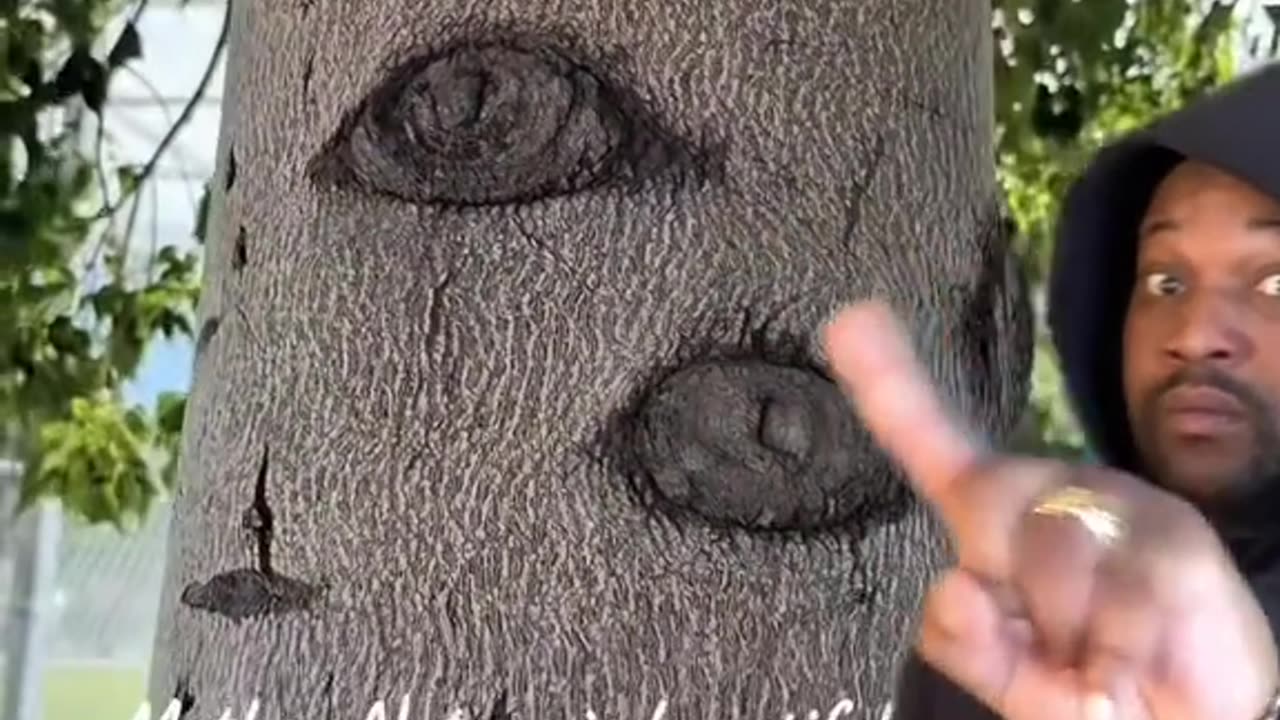 True Story - Eyes On A Tree