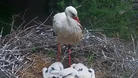Affirmation of family love ❤