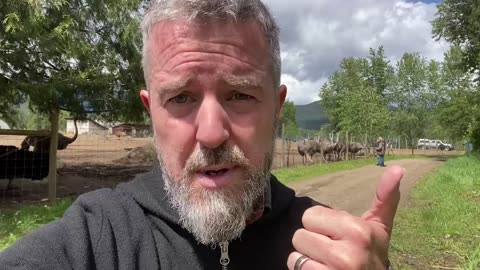 This Is Universal Ostrich Inc. - A Deep Dive With Press For Truth
