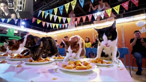 Outtake #1,192 Of The Cats Attempt The Mango Eating Contest Fake Funny Parody Video