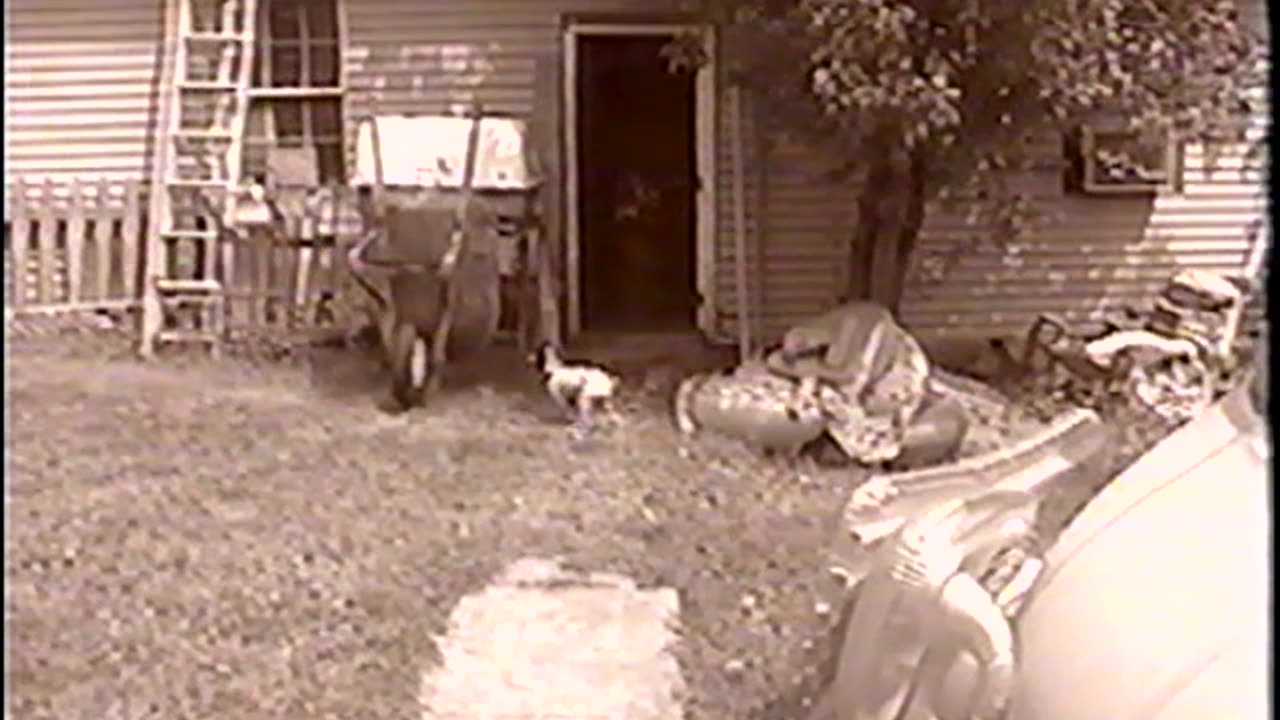 2004-VA-Mocha-1