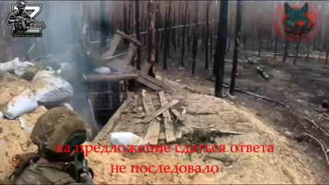 🌲🎥 Ukraine Russia War | 16th SpN Brigade Clears Enemy Dugout in Krasnolymansky Forest | RCF