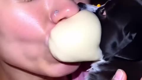 AI - Eat Your Pets