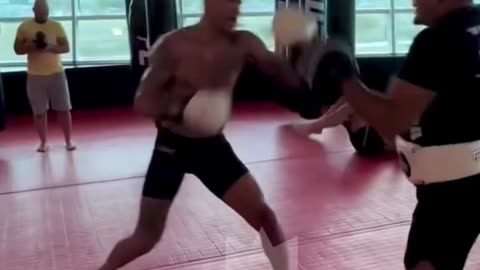 Alex Pereira DESTROYING the mitts🔥
