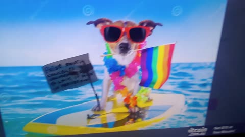 Gay pride cancelled California 2026 due to no pride and no California