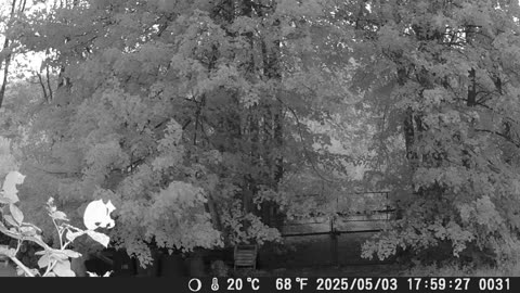 03.05.2025 Regen im anmarsch