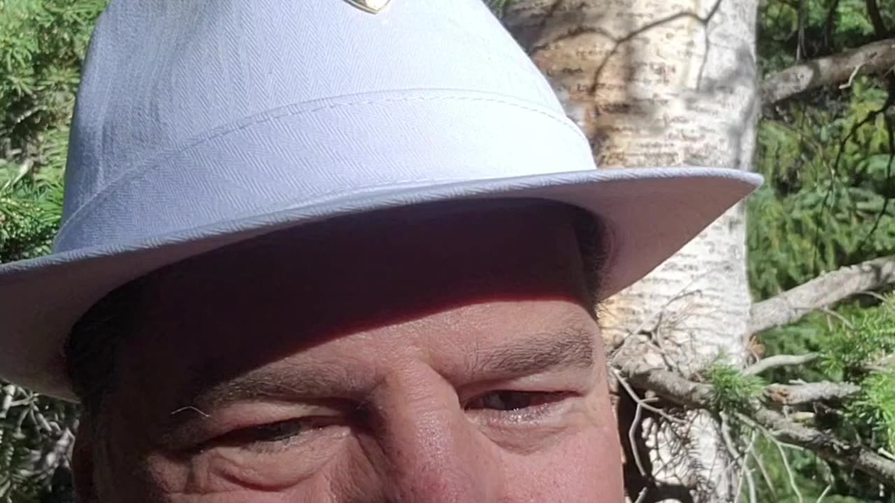 TITLE IV-D Courts Get Paid To Destroy Families