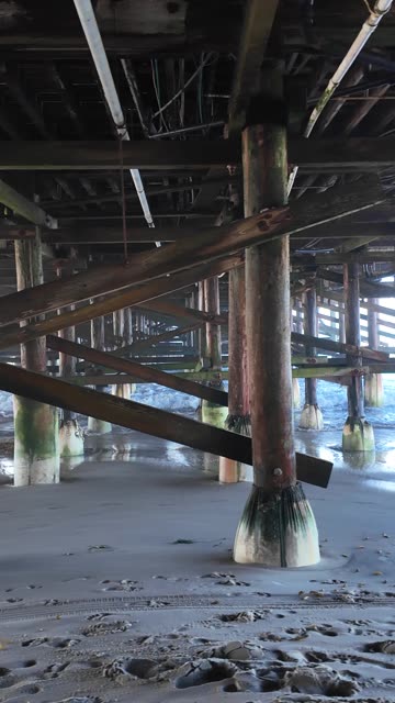 Beautiful Sunny Day Walking Under the Pacific Beach Pier #sandiego #pier #beachlife