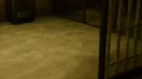 Inside The Backrooms Funny Moments | #insidethebackrooms #horror #horrorgames