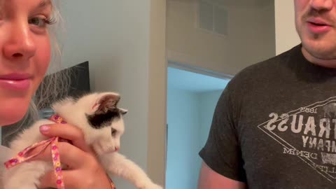 Mae Mae Has Testicles