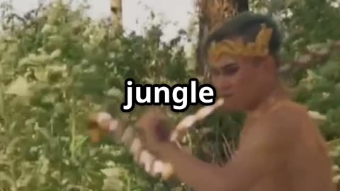 Jungle hacker vs Robco