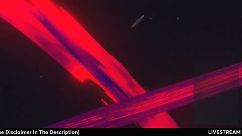 Exposing Candace Owens | The Deep-State Darling Running the Narrative Game