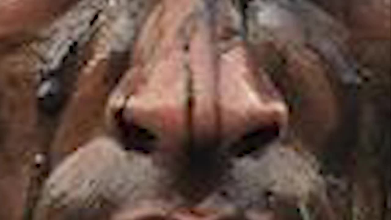 Soldier's Intense Stare: Are YOU Sounding the Alarm?!