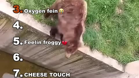 Funny moments