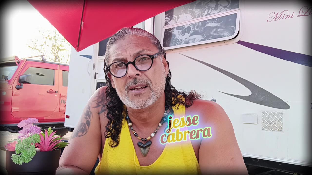 Narcissist Chronicles