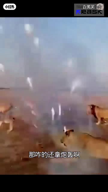 Funny Scene 😂 | Ye Video Miss Mat Karna | Comedy Short