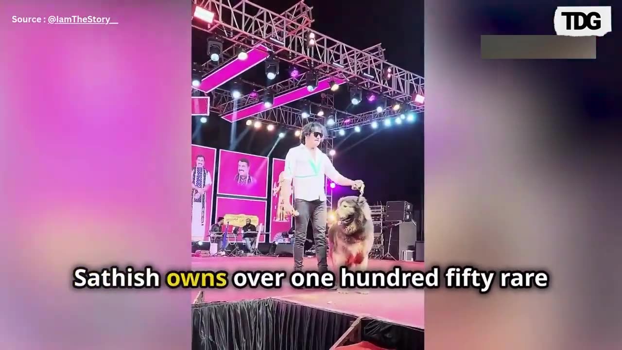 World’s Most Expensive Dog Okami Eats 3 Kgs of Raw Meat Each Day