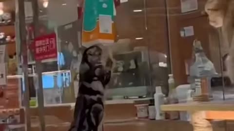 Cats Gone Wild