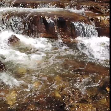 😊 19 “LUZ EN MI VERDAD” 2 Corintios 4:2 😊