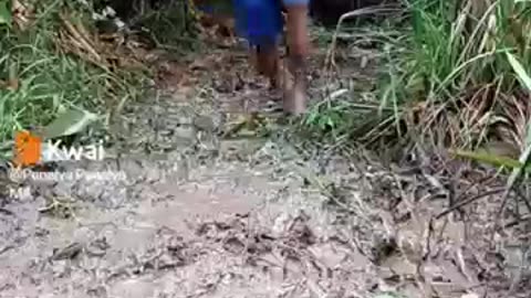 Funny video