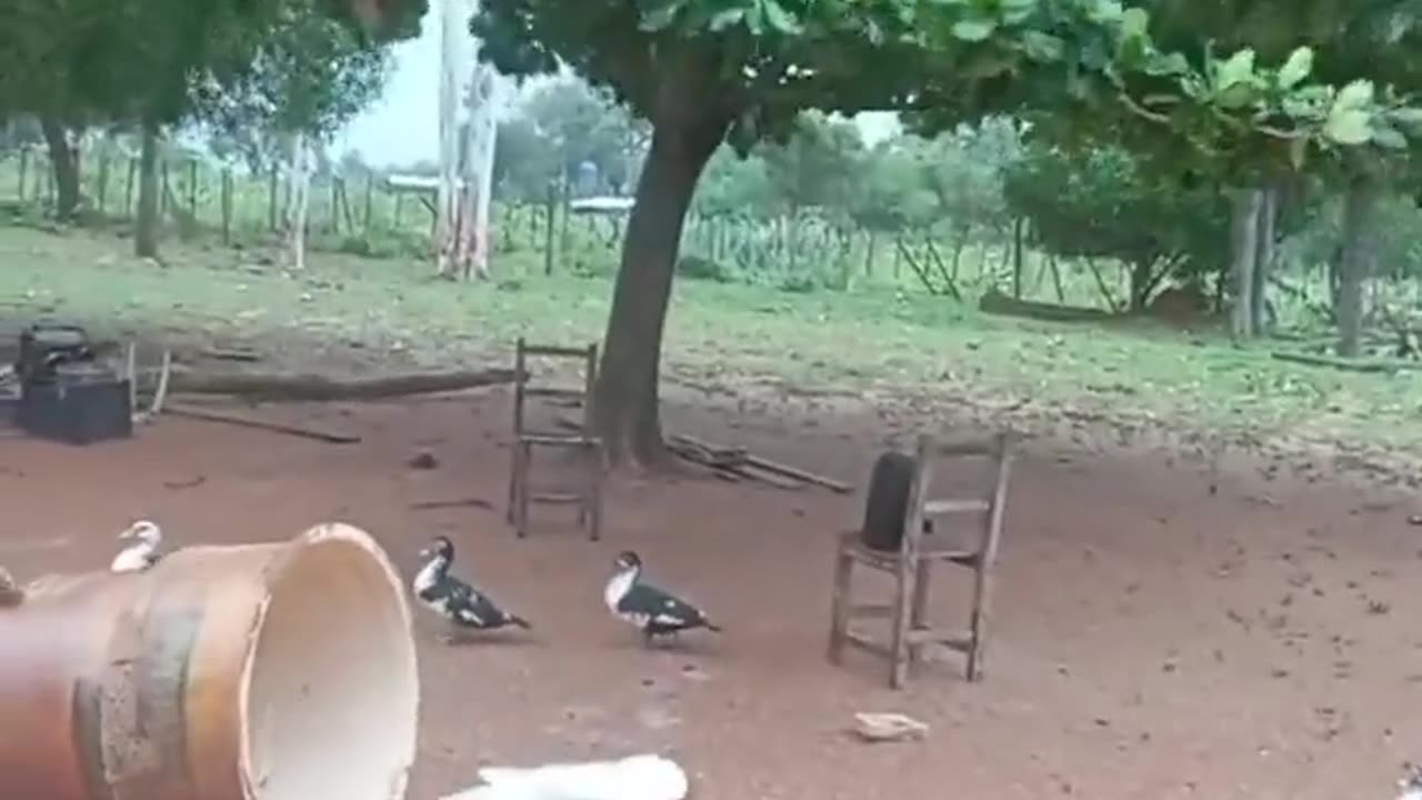 😂🌬️ This Wind Reaction is Hilarious! | FunFM