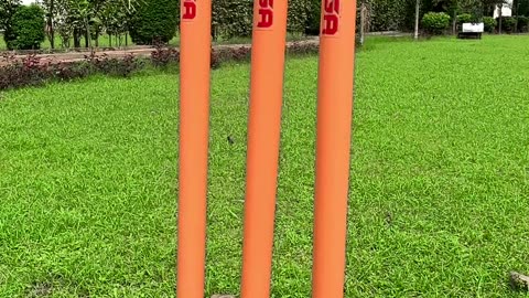 "Premium Cricket Stumps for Professional & Practice Matches 🏏 | Durable & Perfectly Balanced"