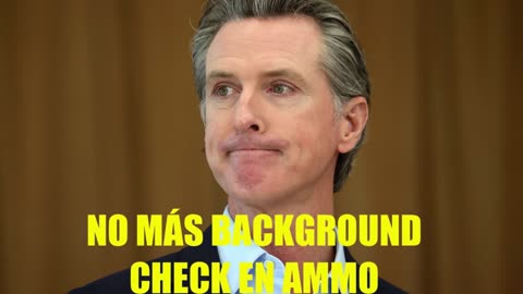Ammo background check PARADO en California