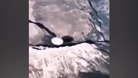 Une autre vidéo devenue virale sur les réseaux sociaux... 🧐🤔🛸