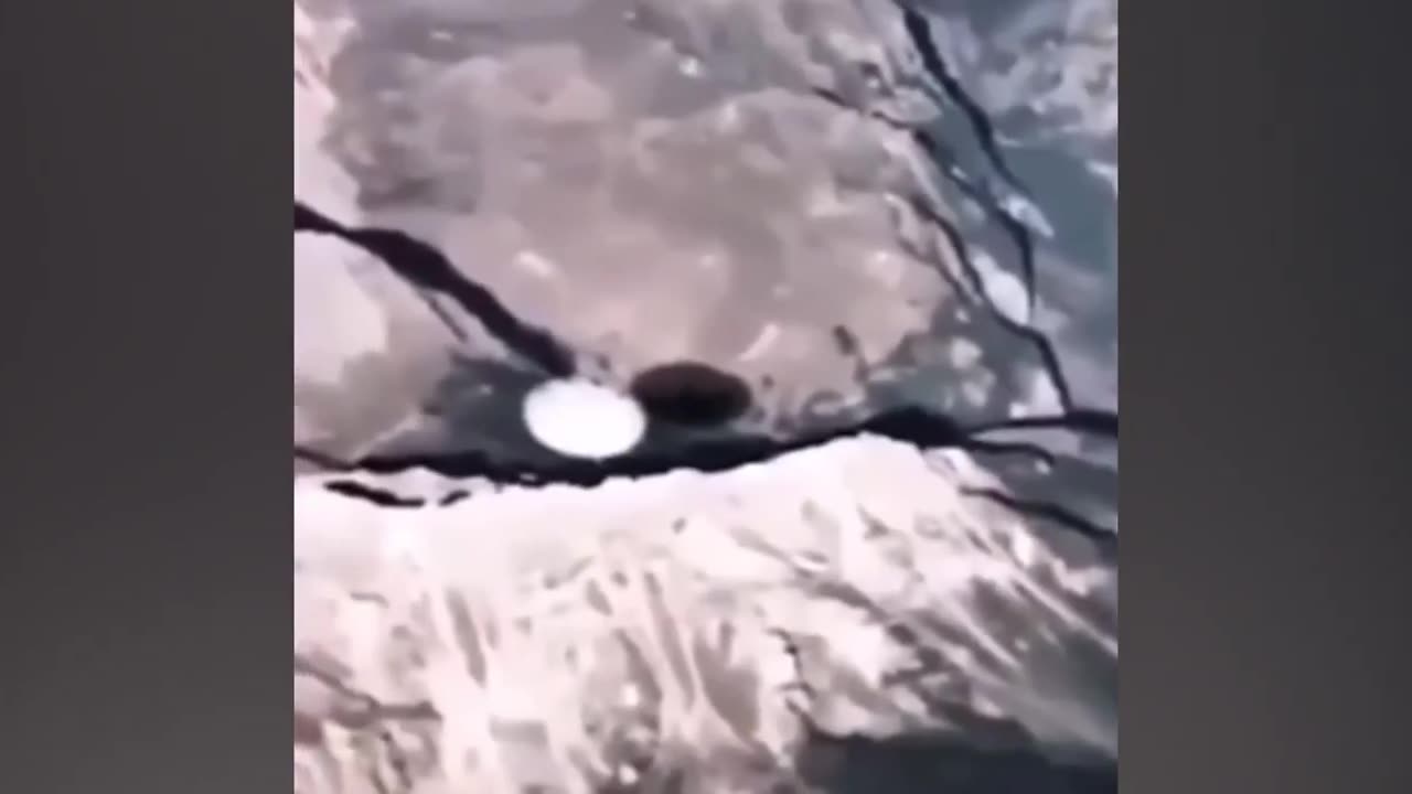 Une autre vidéo devenue virale sur les réseaux sociaux... 🧐🤔🛸