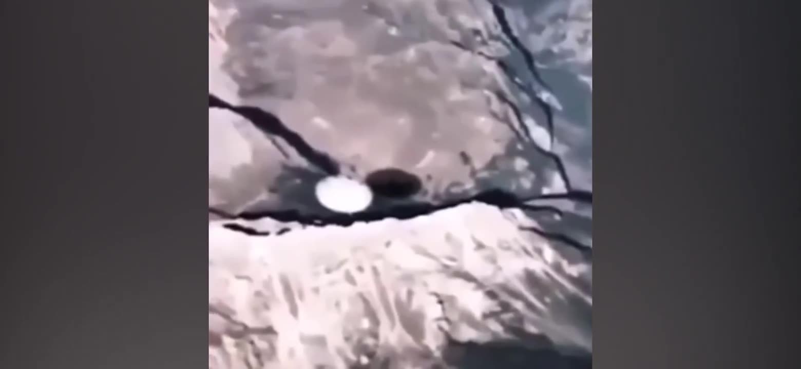 Une autre vidéo devenue virale sur les réseaux sociaux... 🧐🤔🛸