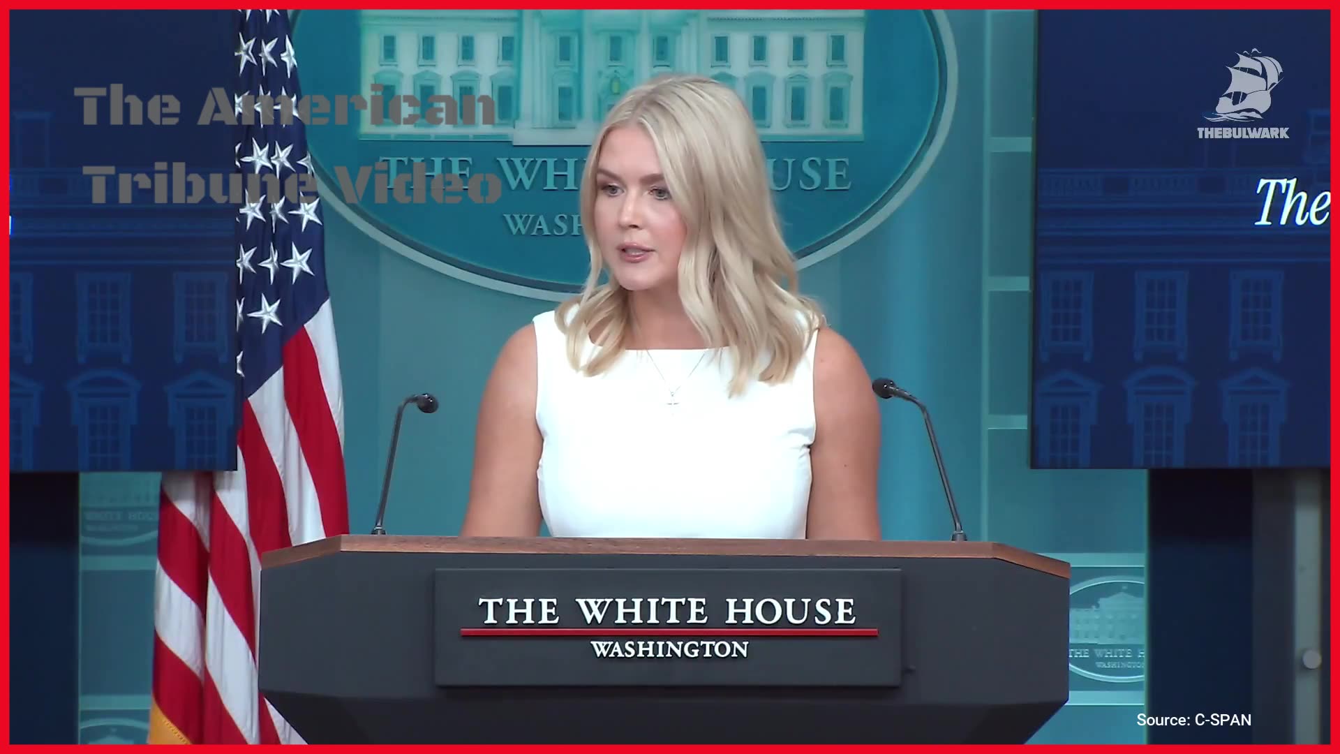 Leavitt Loses Patience With Relentless Woke Journo, Snaps Back With Facts