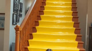 Engaging & Inspiring/Funny Video 11/29/2025