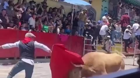 New viral memes #funny, #comedy, #viral, #viral , #fail , #shorts