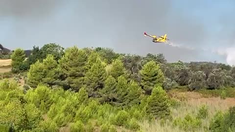 Zjarret përfshijnë Synejn e Rrogozhinës, ndërhyn avioni kroat Canadair për shuarjen e flakëve