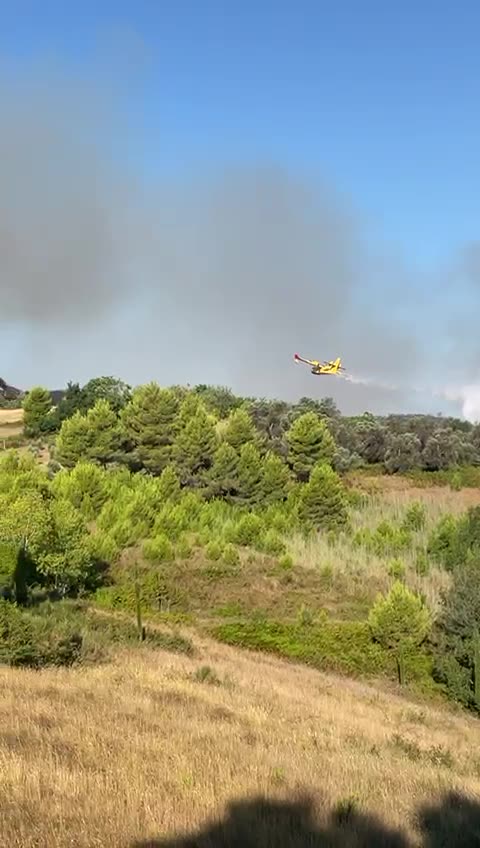 Zjarret përfshijnë Synejn e Rrogozhinës, ndërhyn avioni kroat Canadair për shuarjen e flakëve