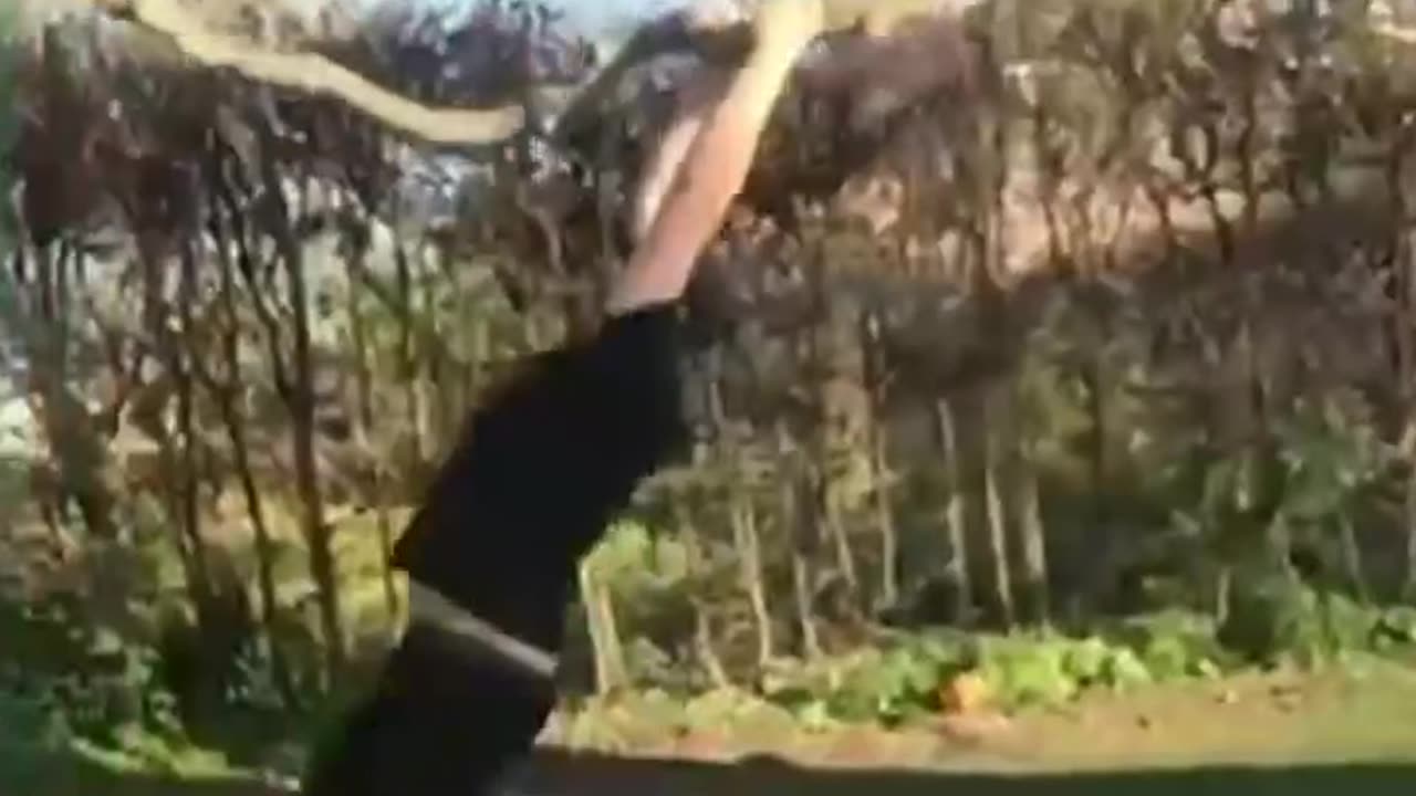 Epic falls and fails😂😂😂
