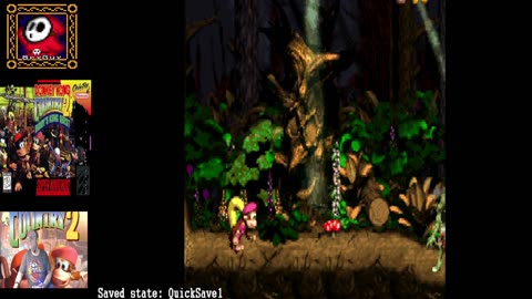 Donkey Kong Country 2 Diddy Kong's Quest Part 4