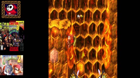 Donkey Kong Country 2 Diddy Kong's Quest Part 4