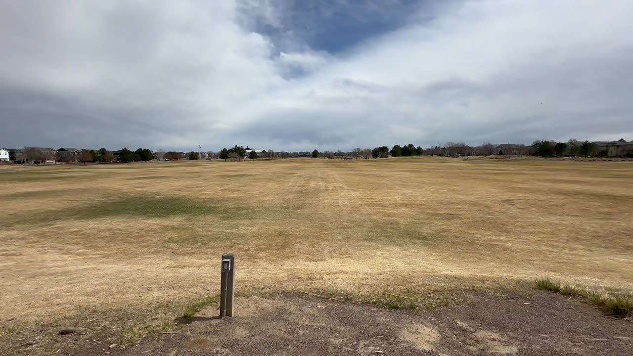 A good day at the park