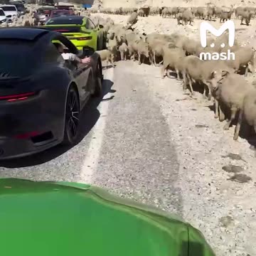 Traffic jams come in all types