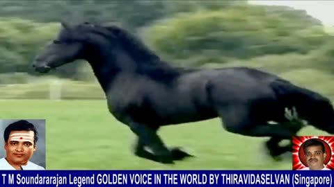 Old Is Gold (evergreen) T M Soundararajan Legend Vol 229 Horse Song 2,