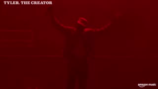 Tyler, The Creator LIVE @Camp Flog Gnaw (FULL SET 2025)