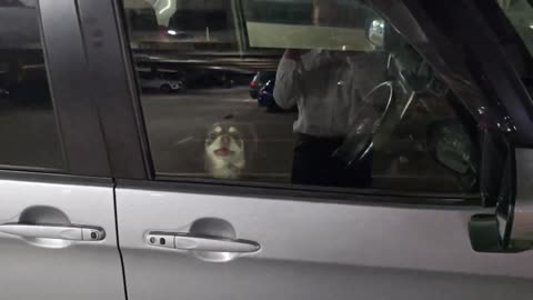 😳🐱 You Won't Believe This Adorable Monster! | FunFM