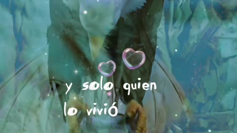 REFLEXIÓN 💫 🤍 💫 🤍 💫