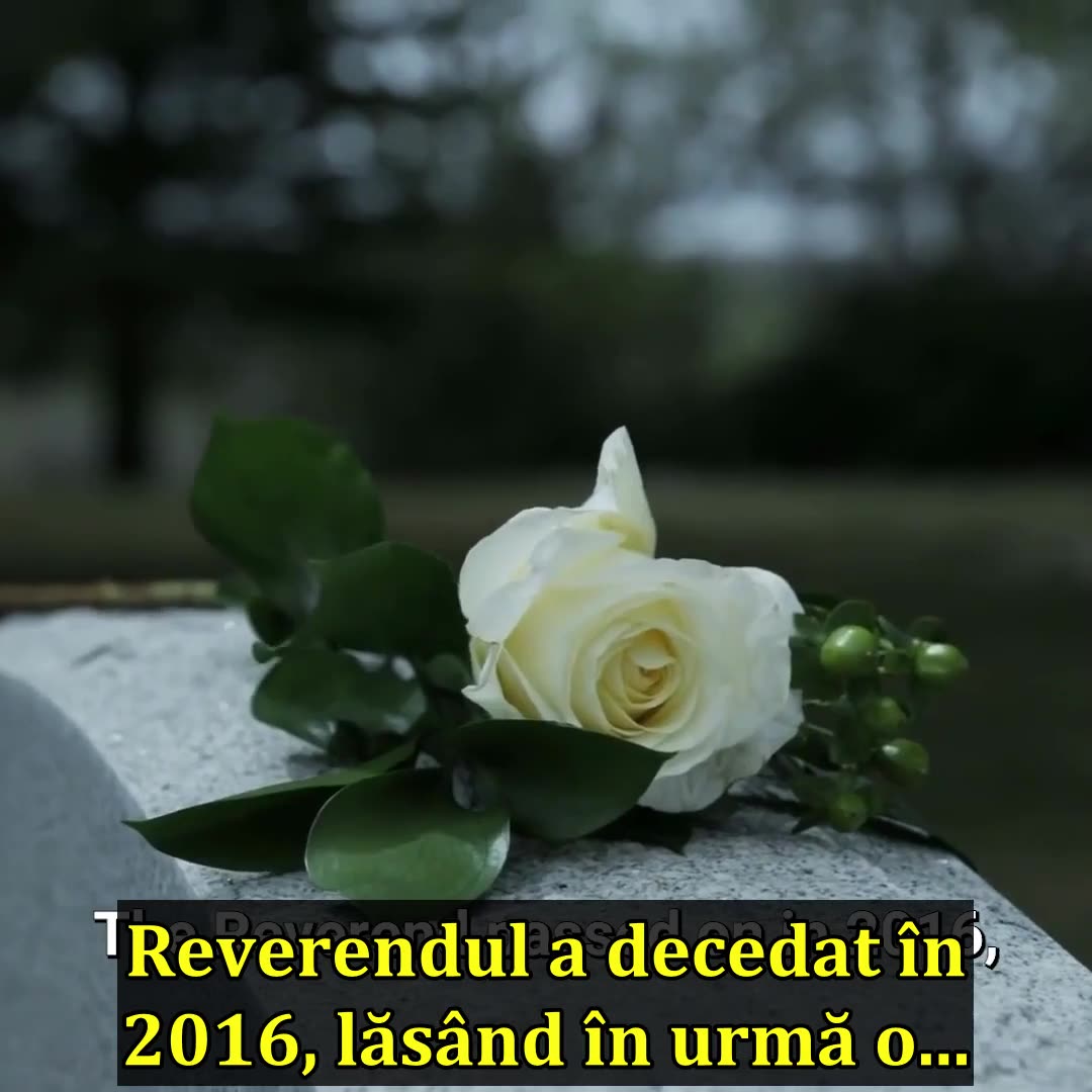 IN THE YEAR 1684 THE VATICAN REMOVED 14 BOOKS FROM THE BIBLE