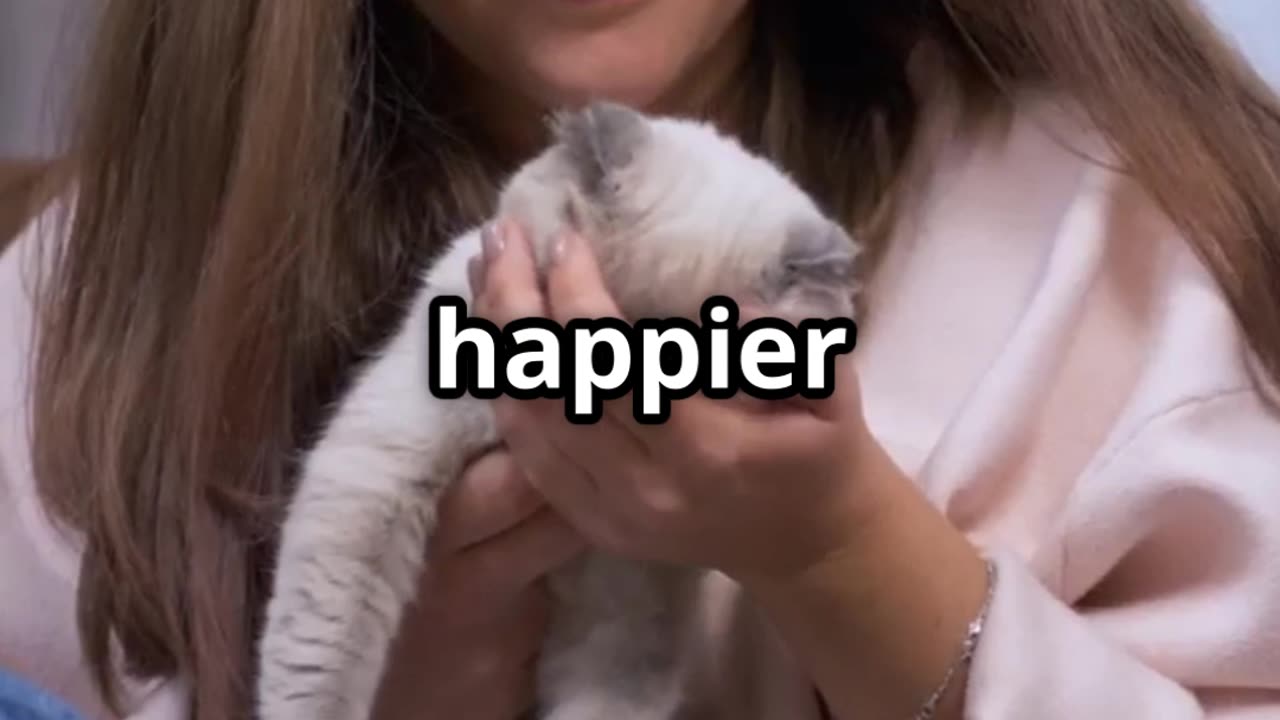 Top 5 Signs Your Cat Needs Help Now! 2025-04-16