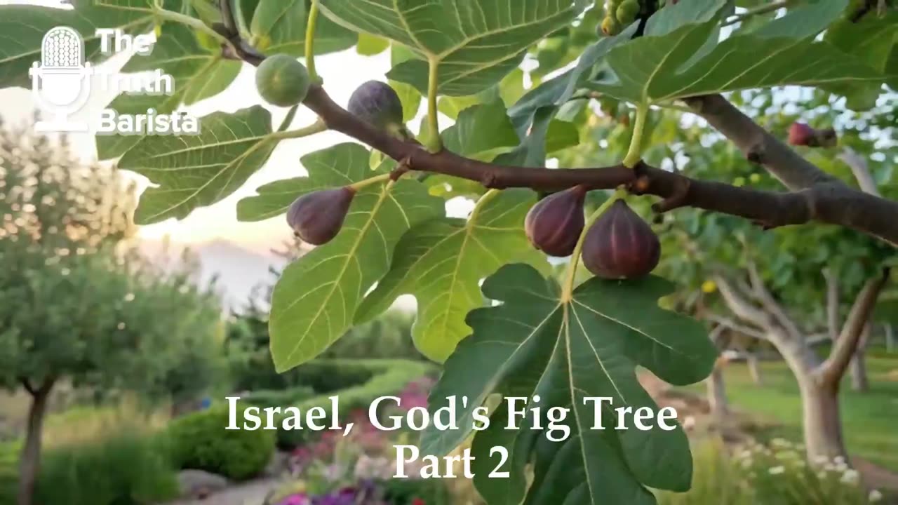 Israel, God’s Fig Tree, Part 2