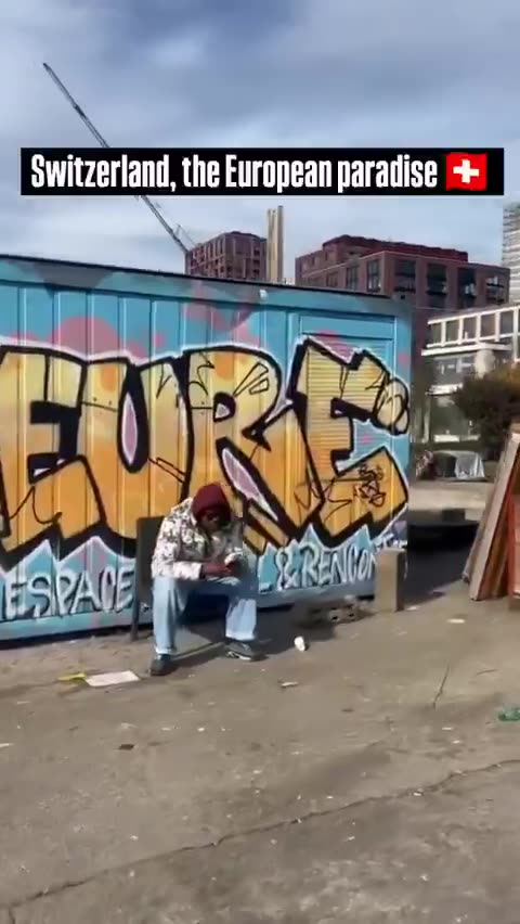 watching a new colony seed a shanty town in the middle of switzerland...